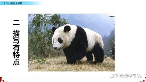 国宝大熊猫作文300字三年级下册优秀范文精选模板下载_优秀_图客巴巴