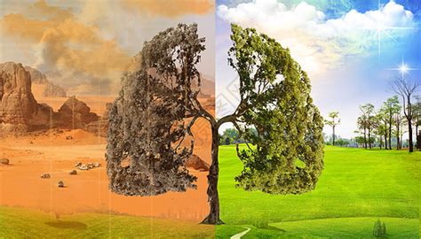 人类环境 的图像结果