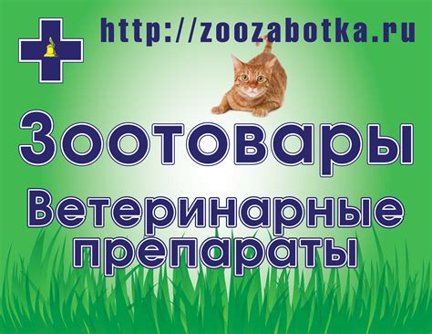 Зоотовары в ветклинике ЗООВЕТСНАБ, Реутов