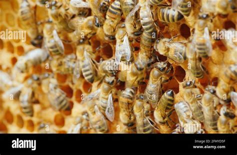 Image result for Friendly number Examples