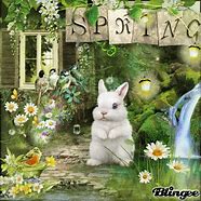 Image result for My Spring Bunny