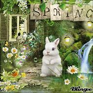 Image result for Spring Bunny Nature Photo