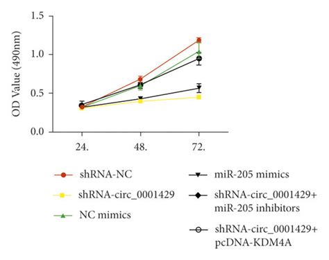 Image result for MTT Assay Using OriginPro