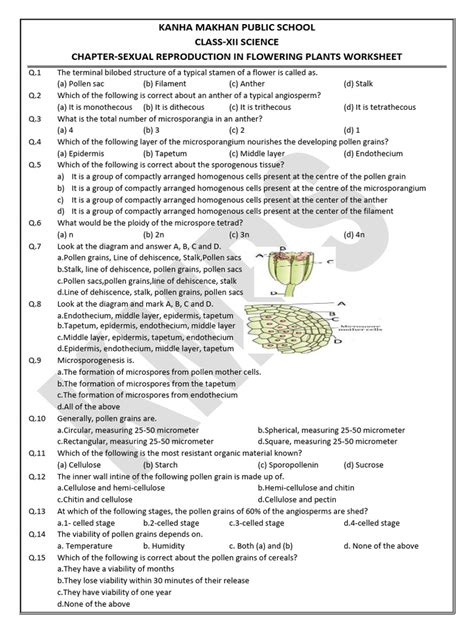 Image result for Functions of Labelling Class 12 Bio Ch. 1 Groth of Pollen Tube