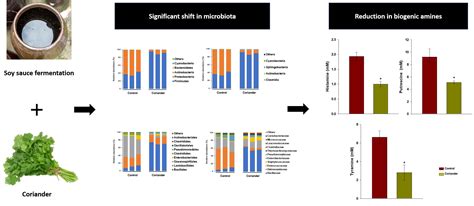 Addition of Coriander during Fermentation of Korean Soy Sauce (Gangjang ...