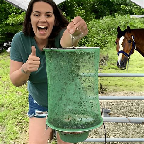 Squirrel Proof Bird Feeder | Bird Feeder that Spins Squirrels ...