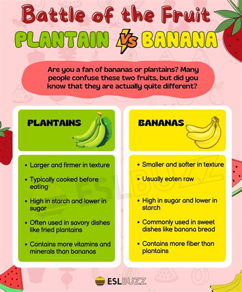 Plantain vs. Banana: Exploring the Differences in Taste, Nutrition, and ...