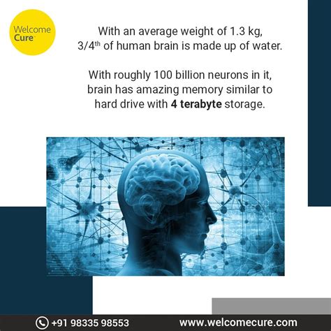 Human Memory Storage 的图像结果