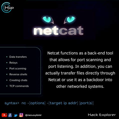 What Is Netcat Used For 的图像结果