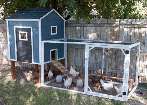 Easy Chicken Coop Plans: Build Your Own Coop with These Step-by-Step ...