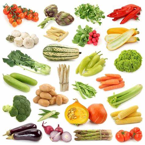 蔬菜进出口贸易流程