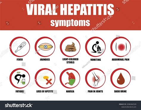 Hepatitis Symptoms In Women
