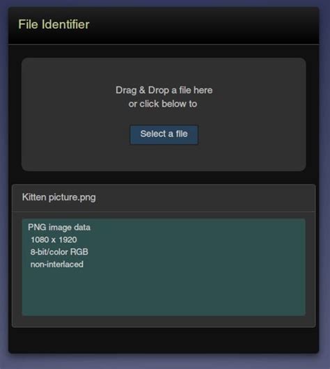 Image result for File Identifier