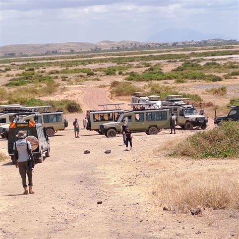 WIDE BIRDING ECO TOURS UGANDA (2026) All You Need to Know BEFORE You Go ...