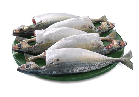 FreshToHome Mackerel/Ayala/Bangda/Aylai | 480 g to 550 g Pack | 5 to 9 ...
