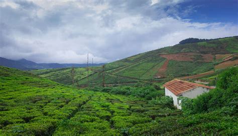 20 Best Hill Stations Near Chennai In 2026 | TravelTriangle