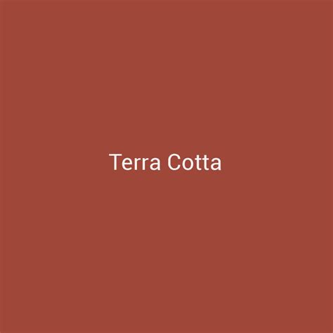 Terra Cotta Paint Color for Stylish Bedroom