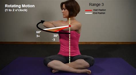 Body Alignment Test 的图像结果