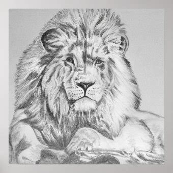 Lion Drawing Tutorial 的图像结果
