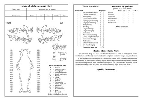 Canine Dental Chart Printable | FREE Printable