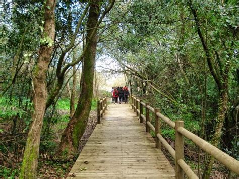 Elos da Montanha (Valenca) - 2022 What to Know Before You Go (with ...