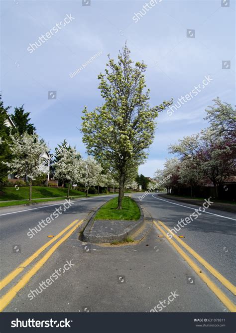 Road Median