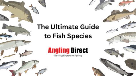 Types Of Fish