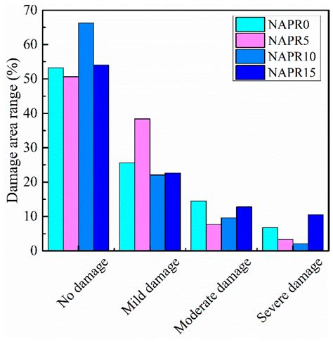 Study on the Dynamic Performance and Damage Evaluation of Rubber ...