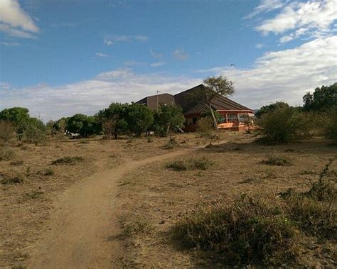 SIMBA + ORYX NATURE CAMP (Kenya/Masai Mara National Reserve ...