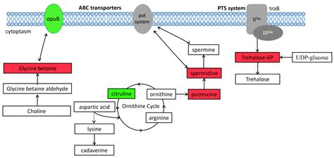 Integrative Multiomics Analysis of the Heat Stress Response of ...