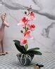 Buy Grey & Pink Gardening & Planters for Home & Kitchen by Tayhaa ...