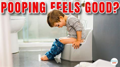 Image result for How Does Pooping Work