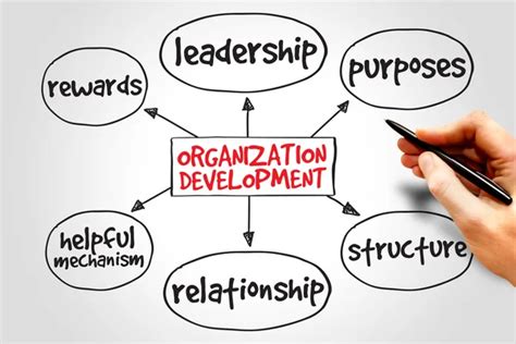Organization Development Clip Art 的图像结果