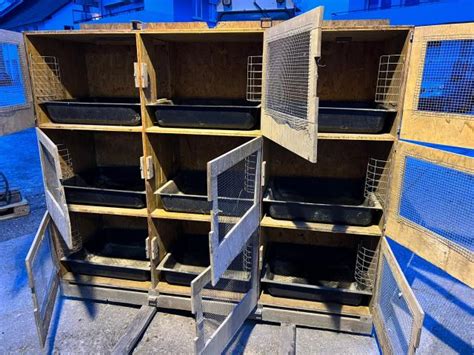 Kaninchenstall Boxen in Hessen | Tiere | Kleinanzeigen