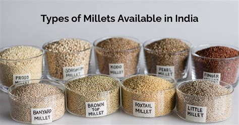 The Benefits of Organic Millets for Kids – Nutriorg