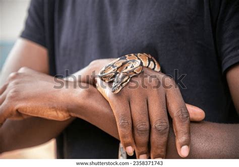 Image result for Python Temple Minecraft