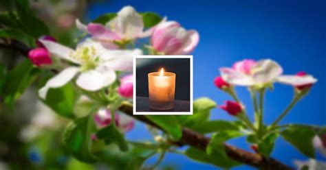 Obituary | Hampton D. May of Fort Defiance, Virginia | McDow Funeral ...