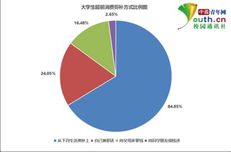 2010年中国IT市场学生消费行为调查研究报告_调研中心专项研究-中关村在线