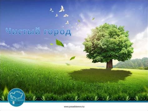 Проект Чистый Город | PPT