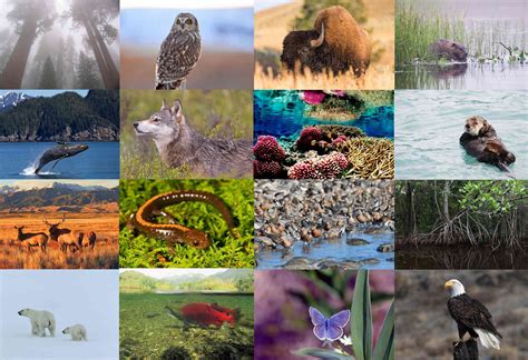 19 Unbelievable Facts About Biological Diversity - Facts.net