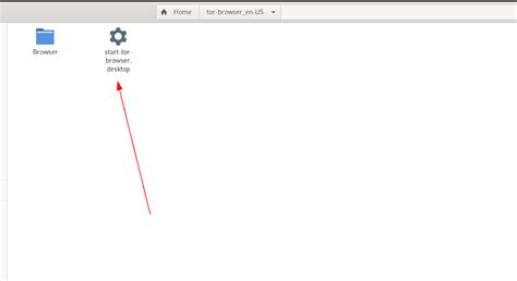 Image result for Tor Project Bundle