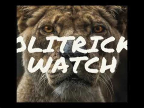 Image result for Open Politricks Watch Recent