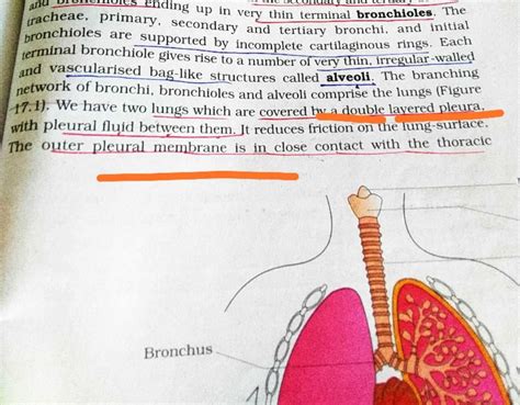 The serous membrane which covers the lungs is called :a)Pericardiumb ...