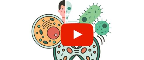 Image result for Physics Video Channel