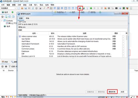 OWASP ZAP Scanner 的图像结果