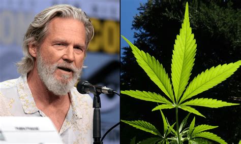 Texas Senators Unanimously Pass Hemp THC Ban Bill Hours After Governor ...