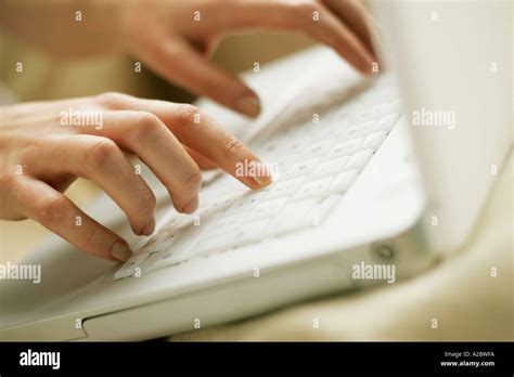 Person Using Laptop Computer 的图像结果