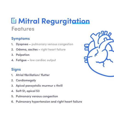 The Murmur of Mitral Valve Insufficiency Is Best Described as