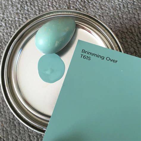 Robins Egg Blue Paint Color: A Timeless Classic - Paint Colors