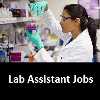 Lab Assistant Vacancy 的图像结果